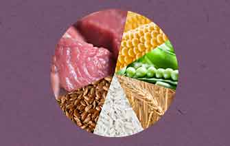 Qualität ist immer eine gute Entscheidung