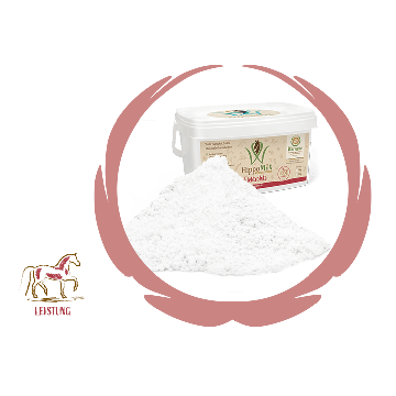 HippoMIX Elektrolyte 