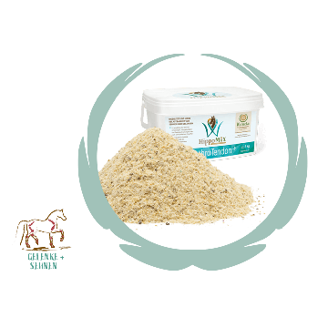 HippoMiX ArthroTendon