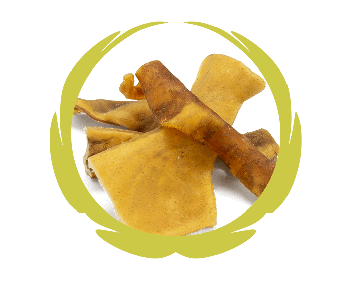 WuffiMiX Rinderkopfhaut 250g