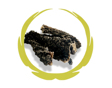 WuffiMIX Rinderpansen 500g