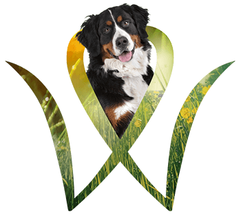 Hundefutter-Spezialitäten Hundefutter-Spezialitäten